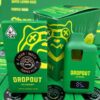 Dropout