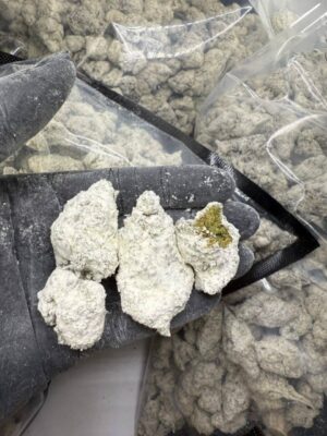 Snowballs ice caps