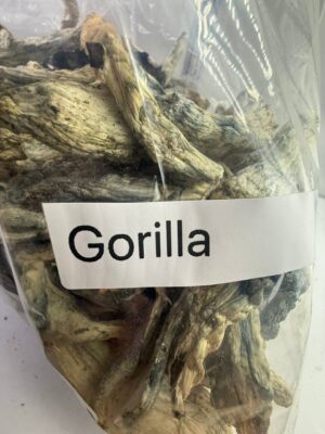 Gorilla shrooms