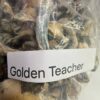 Golden teachers shrooms