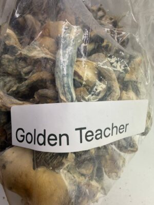 Golden teachers shrooms
