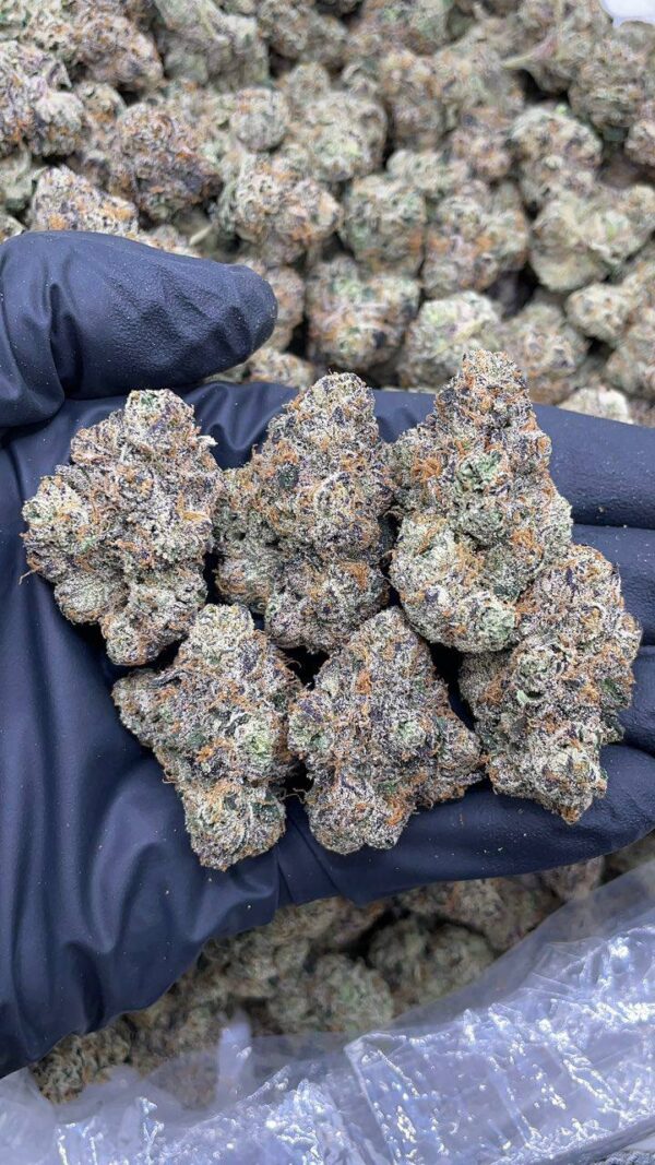Peach Runtz