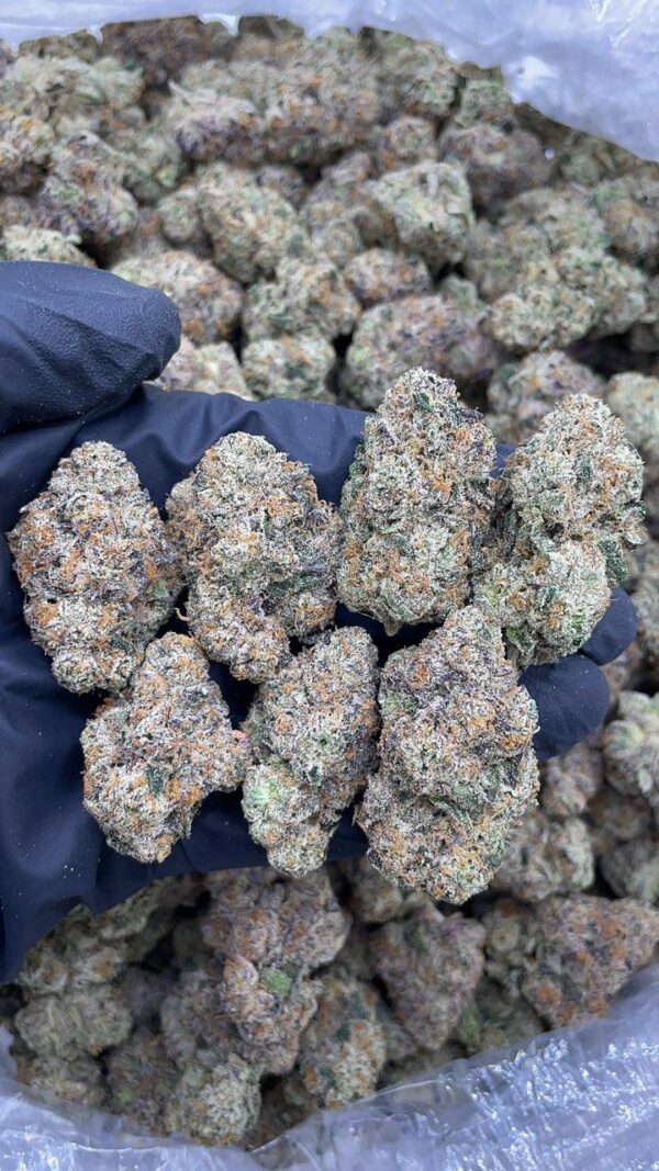 Atomic Candy