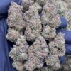 Pink Gelato