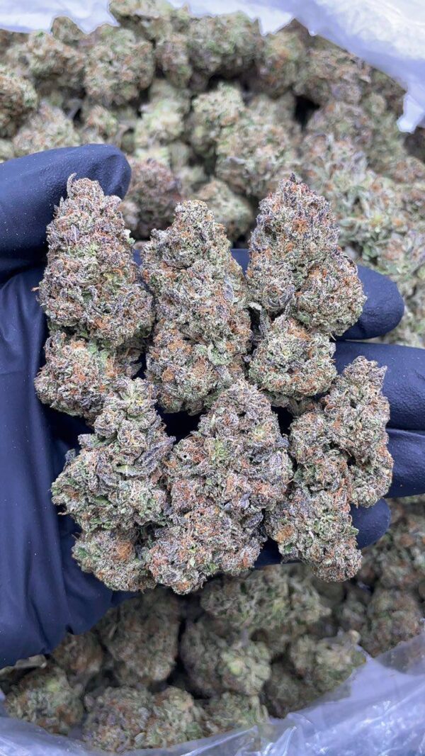 Pink Gelato