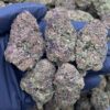 Purple Diesel