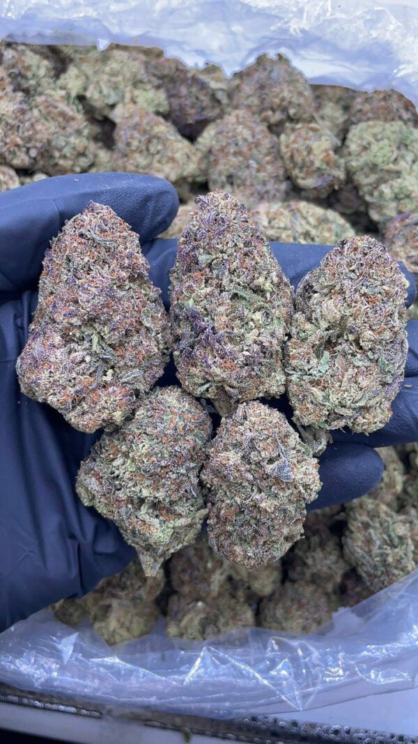 Purple Diesel