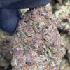 Purple Diesel