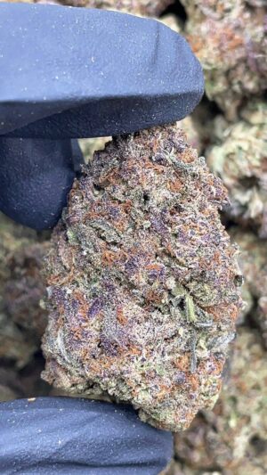Purple Diesel