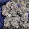 Sour Gas