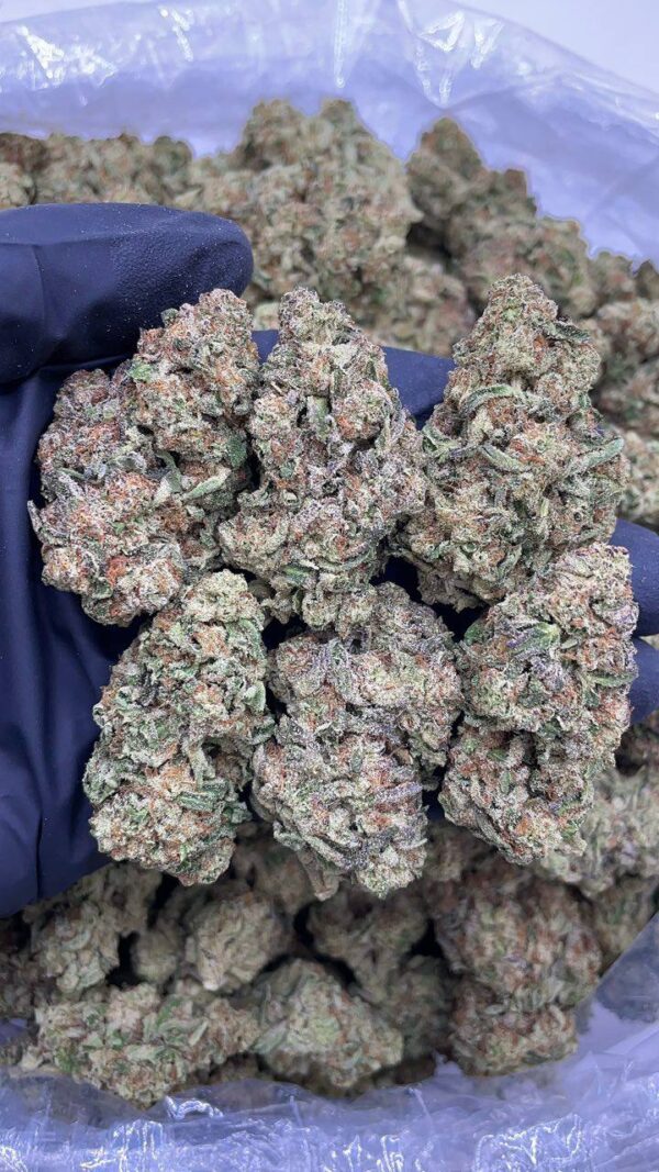 Sour Gas