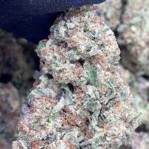 Sour Gas