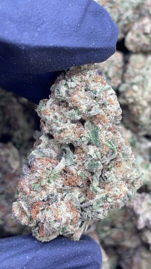 Sour Gas