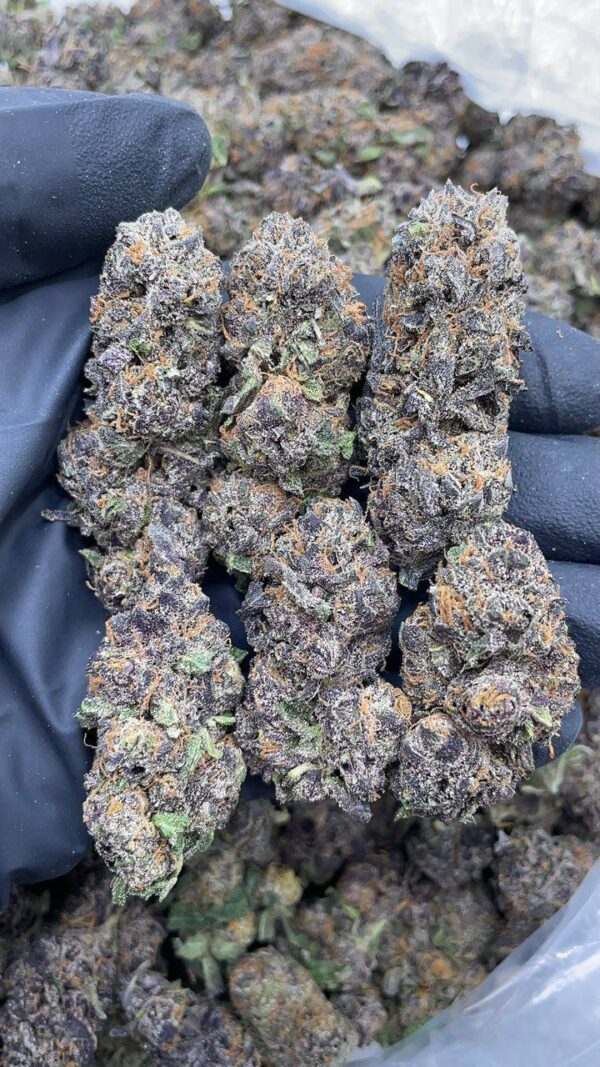 King Sherbert