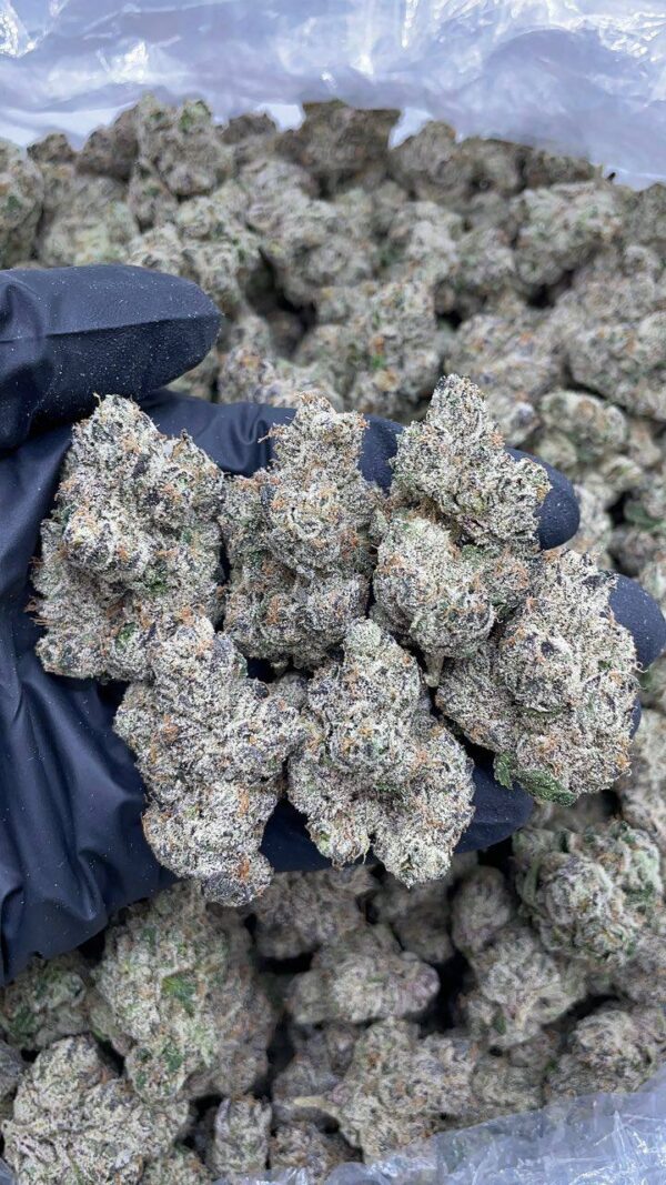 Berry Pops