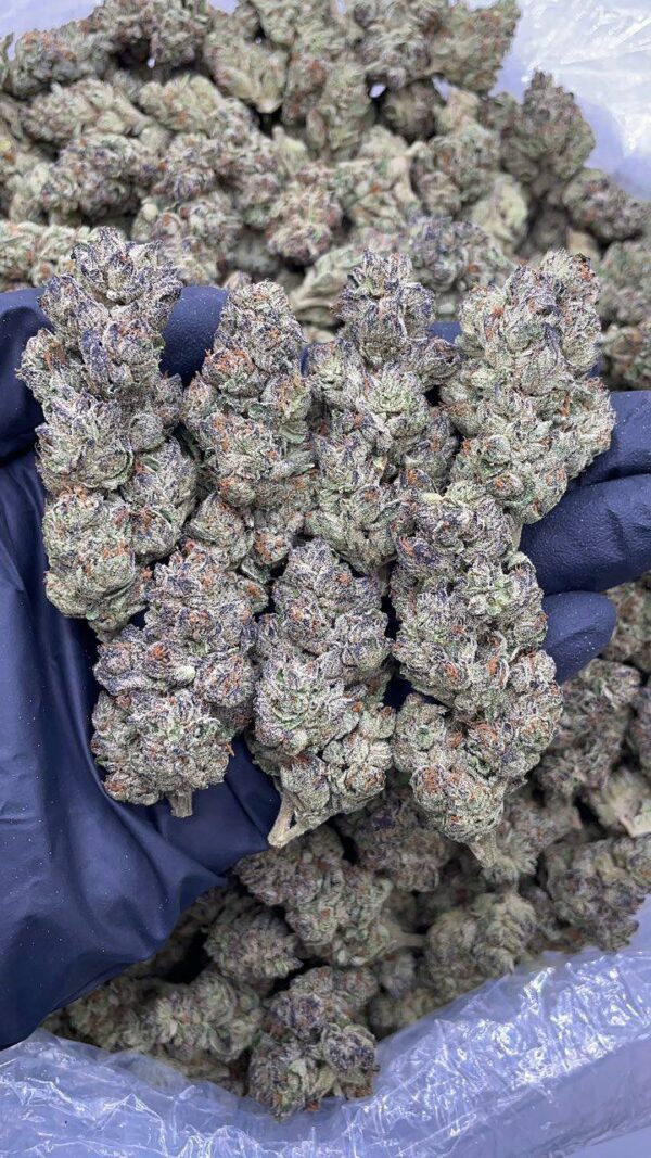 Strawberry Cheesecake
