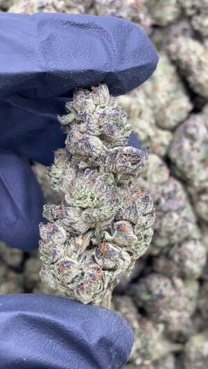 Strawberry Cheesecake