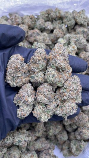 Bubblegum Runtz