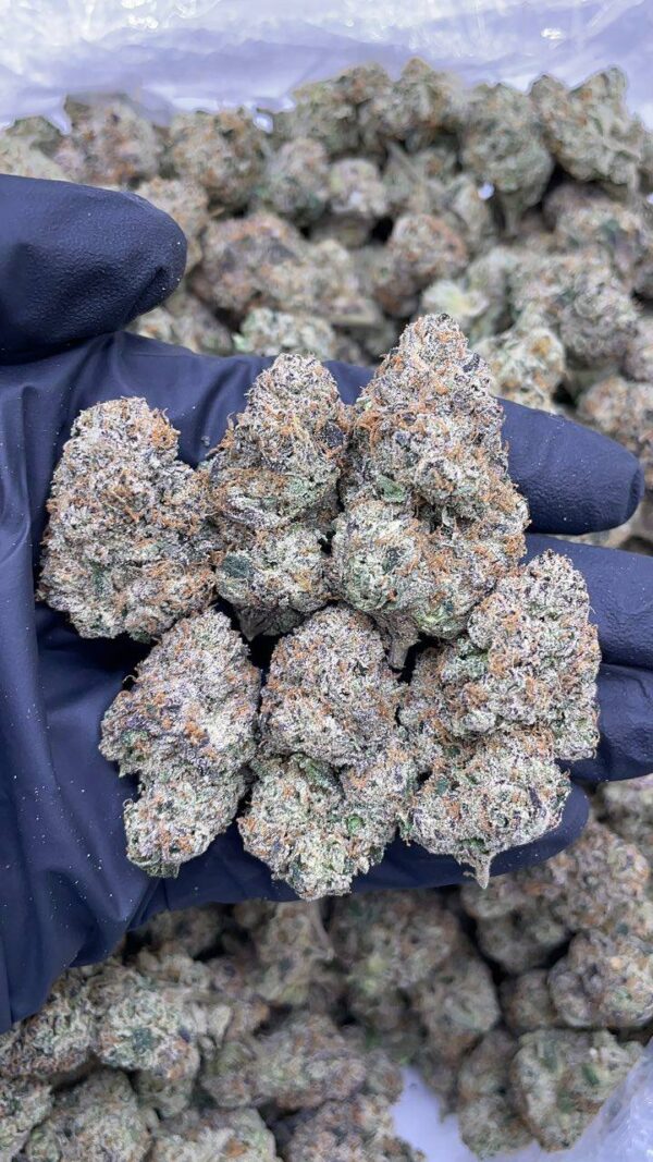 Bubblegum Runtz