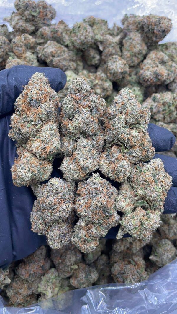 Candy Rainbow