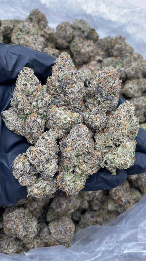 Blue Ripz