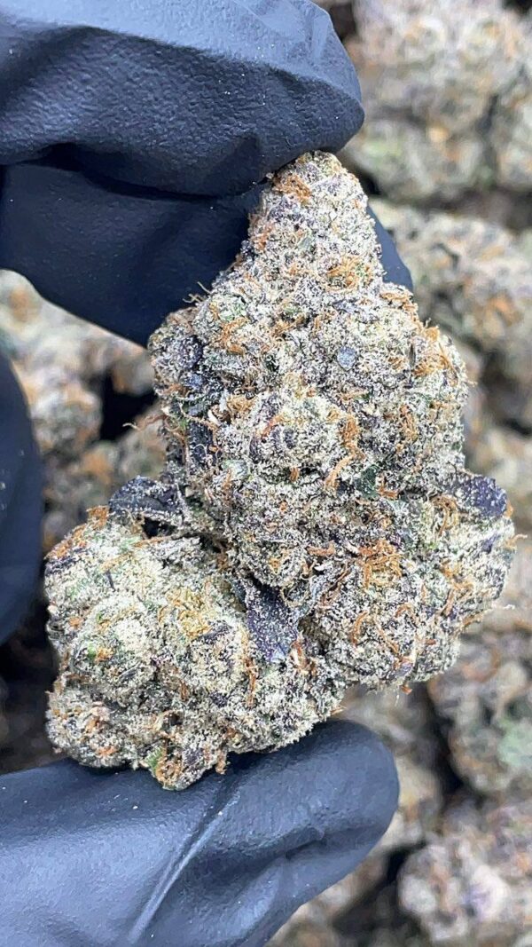 Blue Ripz