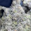 Granddaddy Perc