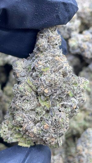 Granddaddy Perc