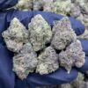 Granddaddy Perc Meds