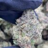 Granddaddy Perc Meds