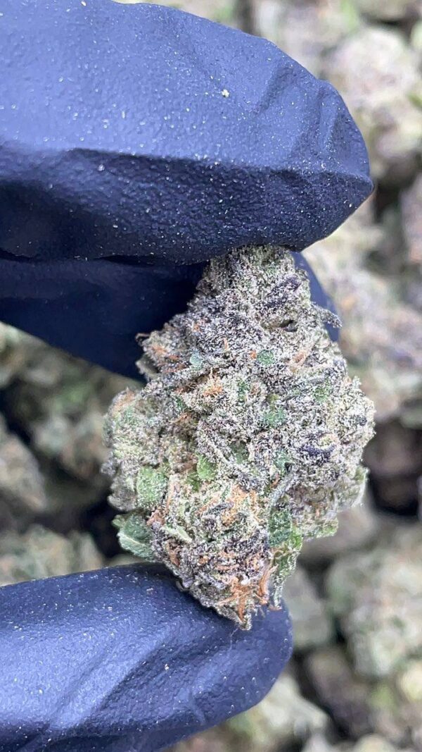 Granddaddy Perc Meds