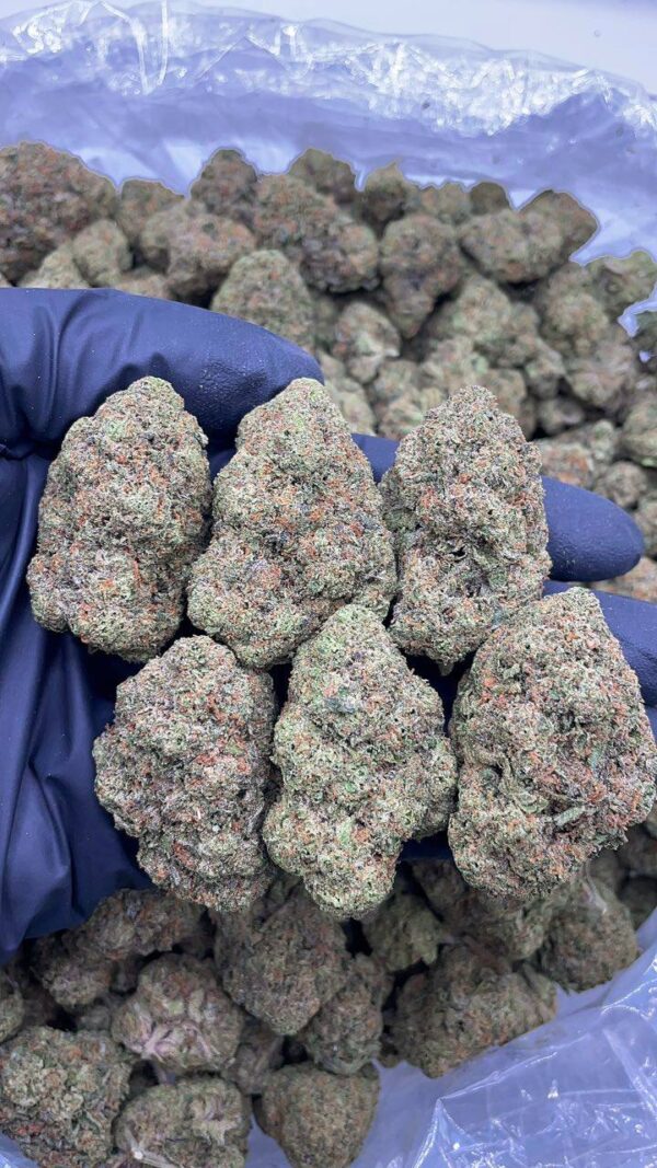 Blue Cherry Gelato