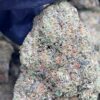 Blue Cherry Gelato