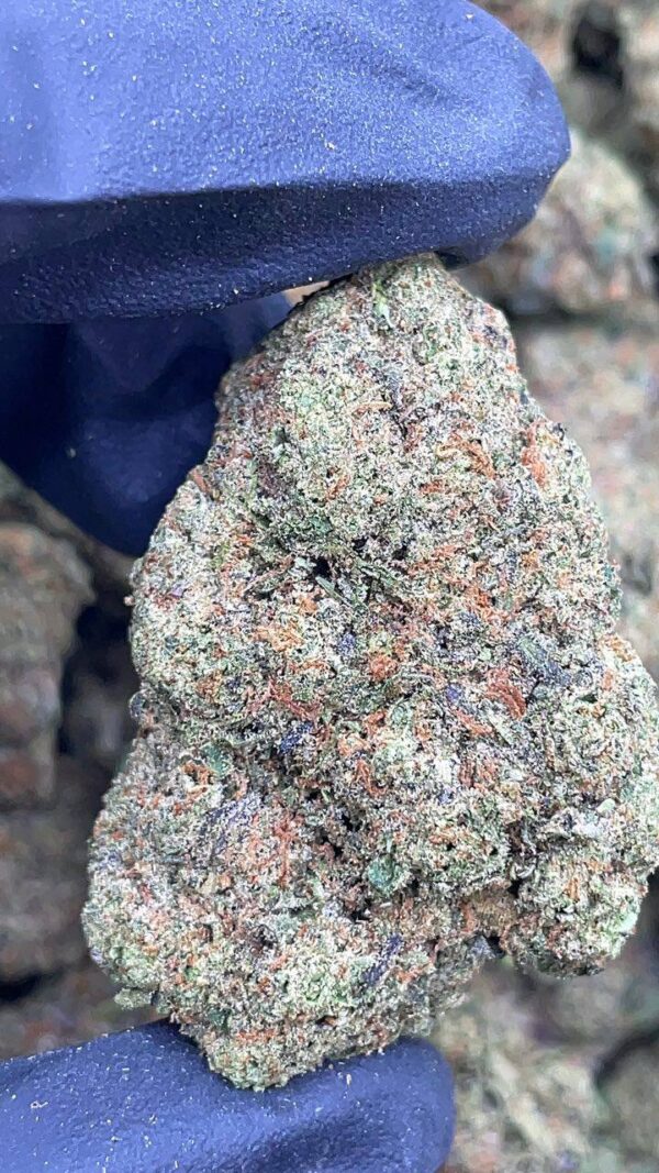 Blue Cherry Gelato