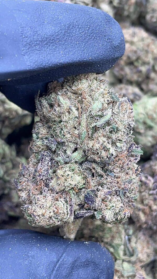Cherry Runtz