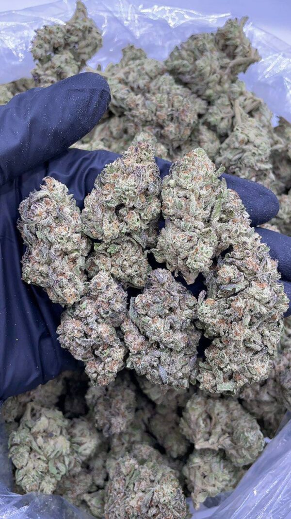 Winter Truffle
