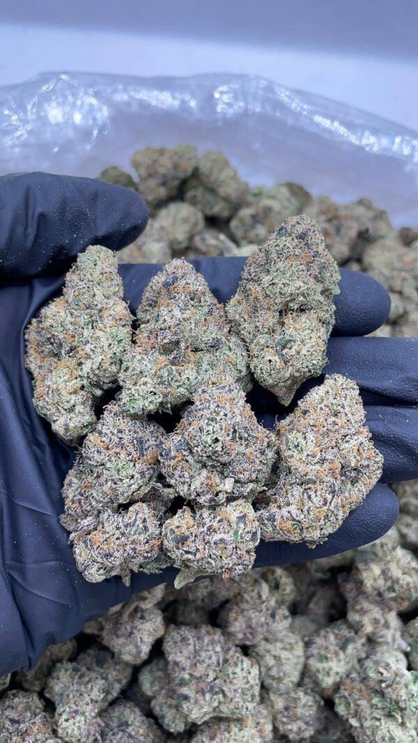 Rainbow Zkittlez