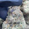 Rainbow Zkittlez