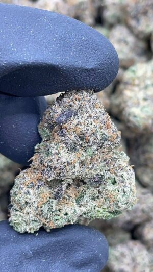 Rainbow Zkittlez