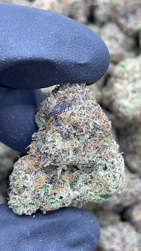 Rainbow Zkittlez
