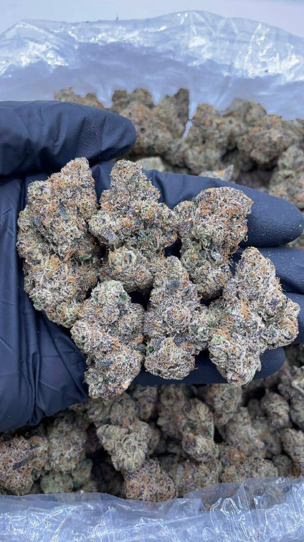 Lemon Cherry Guava