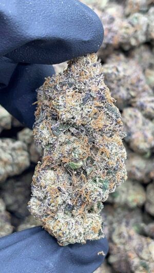 Lemon Cherry Guava
