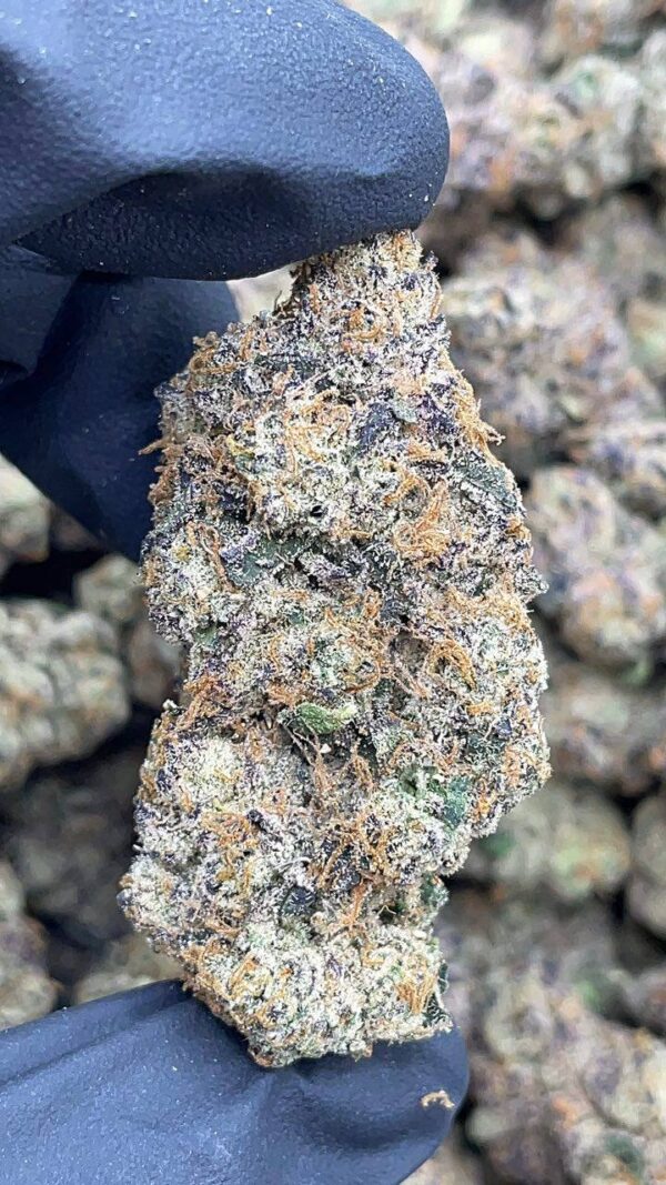 Lemon Cherry Guava