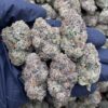 Bubblegum Poppers