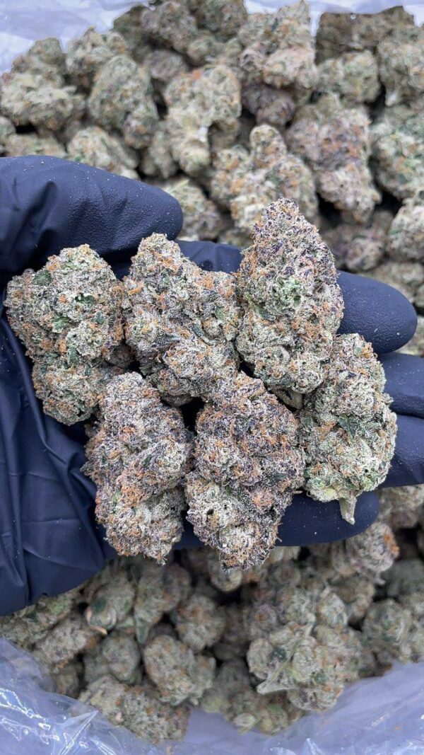 Bubblegum Poppers