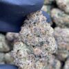 Bubblegum Poppers