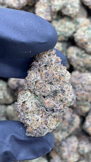 Bubblegum Poppers