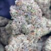 BlackBerry Gelato