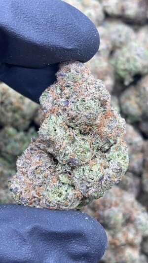 Pink Starburst