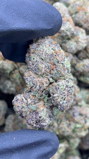 Purple Mochi